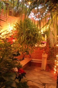 Greenhouse with holiday flair