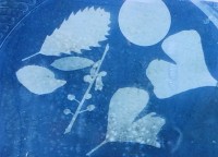 Cyanotype Sun Print! Make your own at the Pool Project!