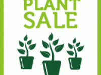 Dr. Joe and Alice Rinard Orchid Greenhouse: Greenhouse Plant Sale