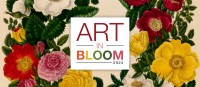 Art in Bloom 2024