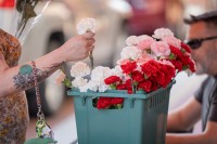 Flower Hour at Brink of Summer Artswalk