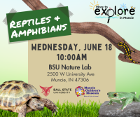 Reptiles and Amphibians
