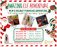 Amazing Elf Adventure