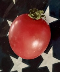 The Muncie Makers Market