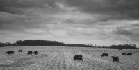 Daniel Wasson at Gordy Fine Art and Framing Co.