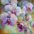 Inspired by Orchids: Spring Gallery Show