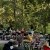 AHB Cool Tunes at Westside Park
