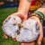 Live Geode Slicing Event at Kat's Crystals